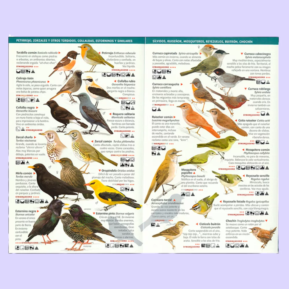 150 aves de España que hay que conocer - Imagen 2