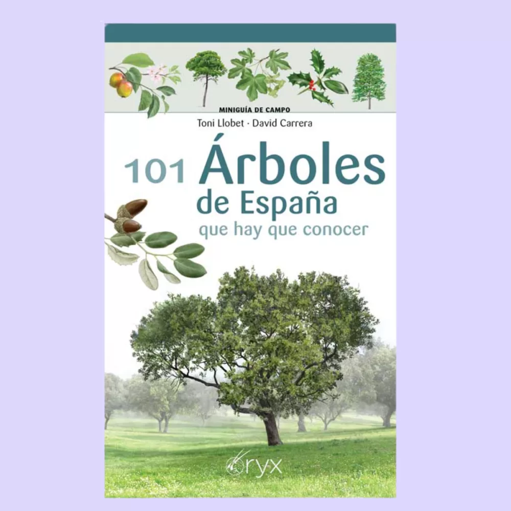 101 árboles de España que hay que conocer