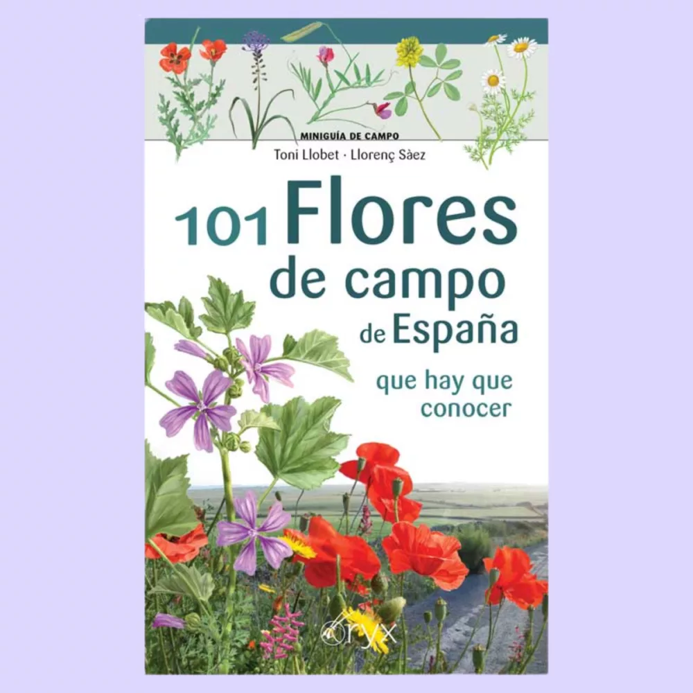 101 flores de campo de España