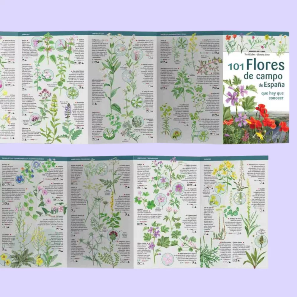 101 flores de campo de España - Imagen 2